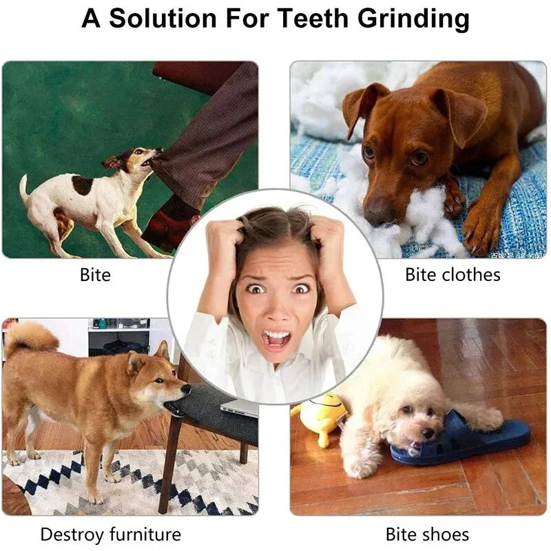 Treat Dispensing Chew Ball