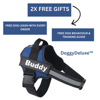 Stop Pulling Instantly - Total Control Without Choking or Pain