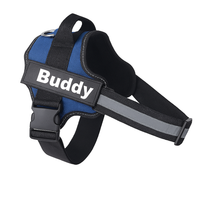 Stop Pulling Instantly - Total Control Without Choking or Pain