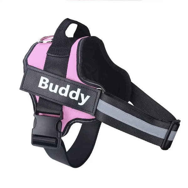 Stop Pulling Instantly - Total Control Without Choking or Pain