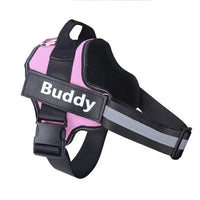 Stop Pulling Instantly - Total Control Without Choking or Pain