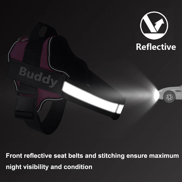 Stop Pulling Instantly - Total Control Without Choking or Pain