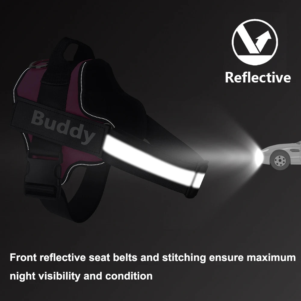Stop Pulling Instantly - Total Control Without Choking or Pain
