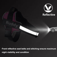 Stop Pulling Instantly - Total Control Without Choking or Pain