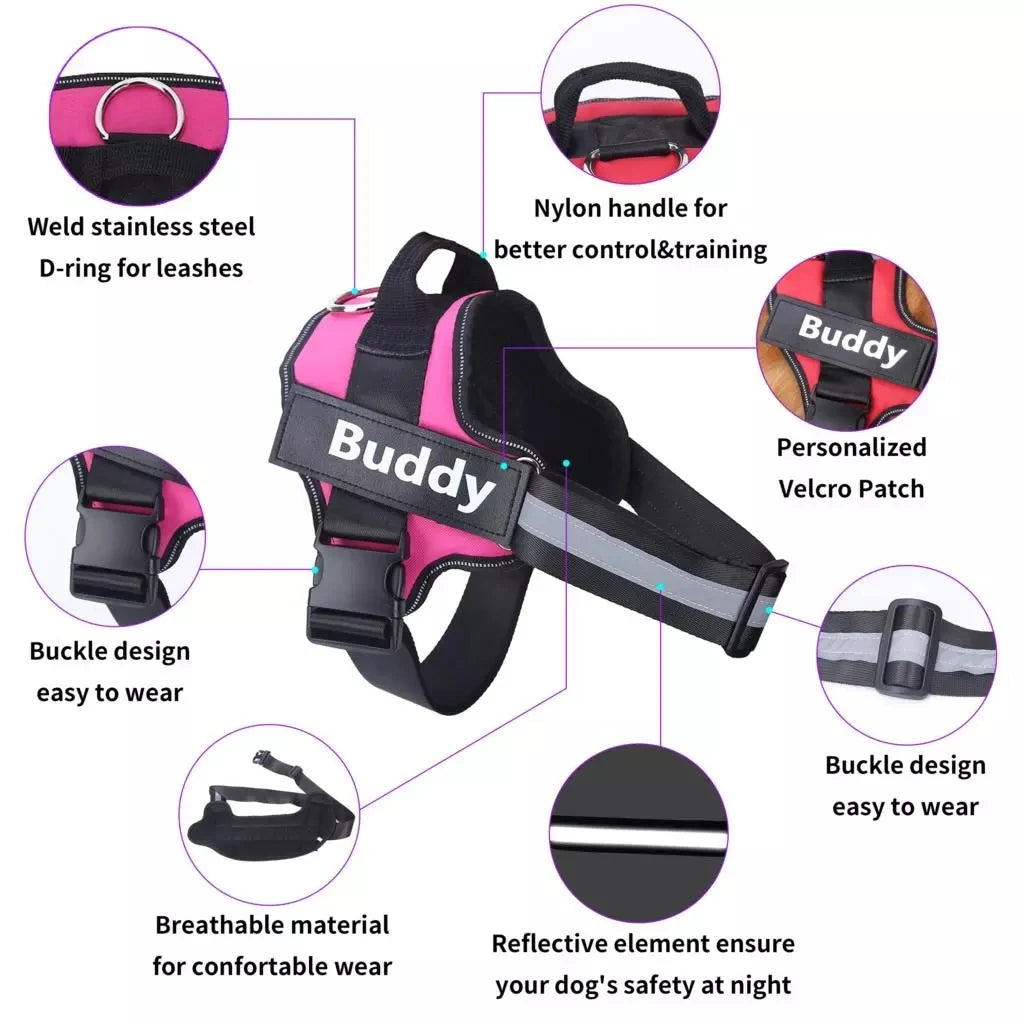 Stop Pulling Instantly - Total Control Without Choking or Pain