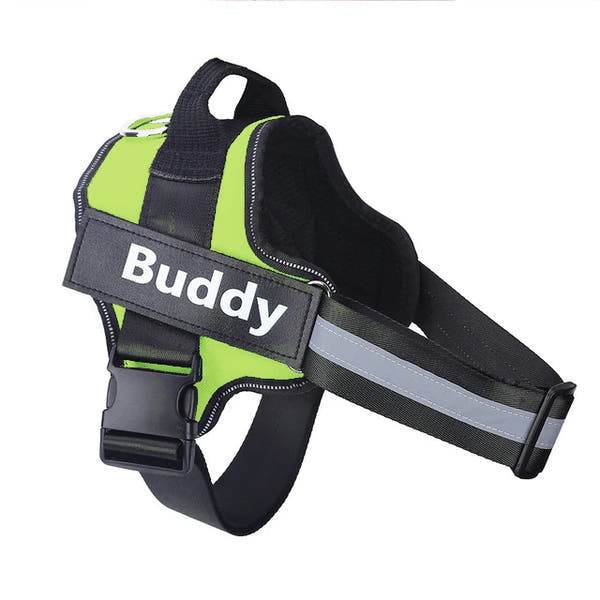 Stop Pulling Instantly - Total Control Without Choking or Pain