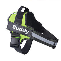 Stop Pulling Instantly - Total Control Without Choking or Pain