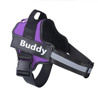 Stop Pulling Instantly - Total Control Without Choking or Pain