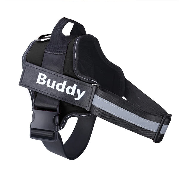 Stop Pulling Instantly - Total Control Without Choking or Pain