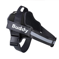 Stop Pulling Instantly - Total Control Without Choking or Pain