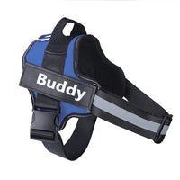 Stop Pulling Instantly - Total Control Without Choking or Pain