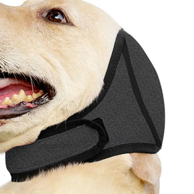 "Transform Your Dog’s Fear into Calm Joy"
