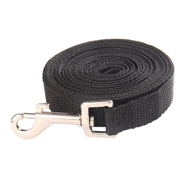 🎁 Solid Dog Leash (100% off)